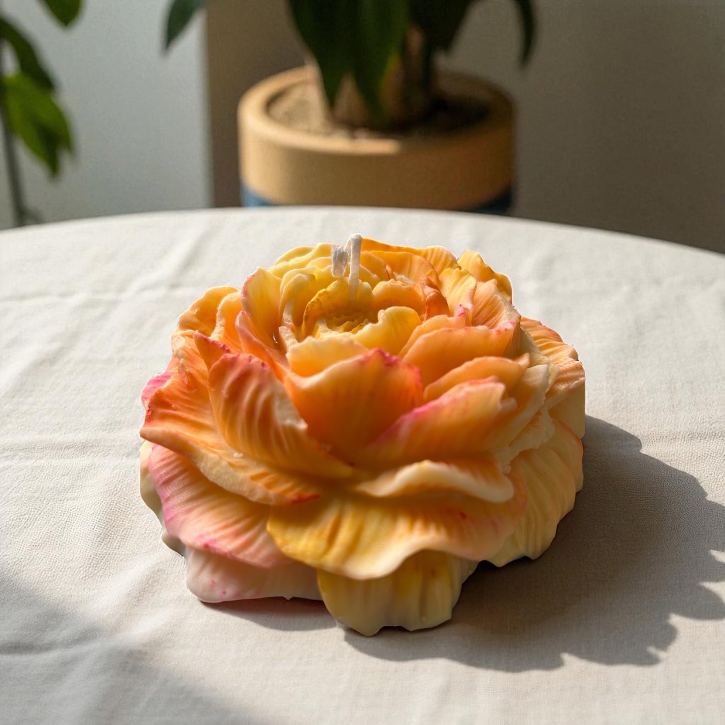 6.5" Peony Candle (Aromaglow)