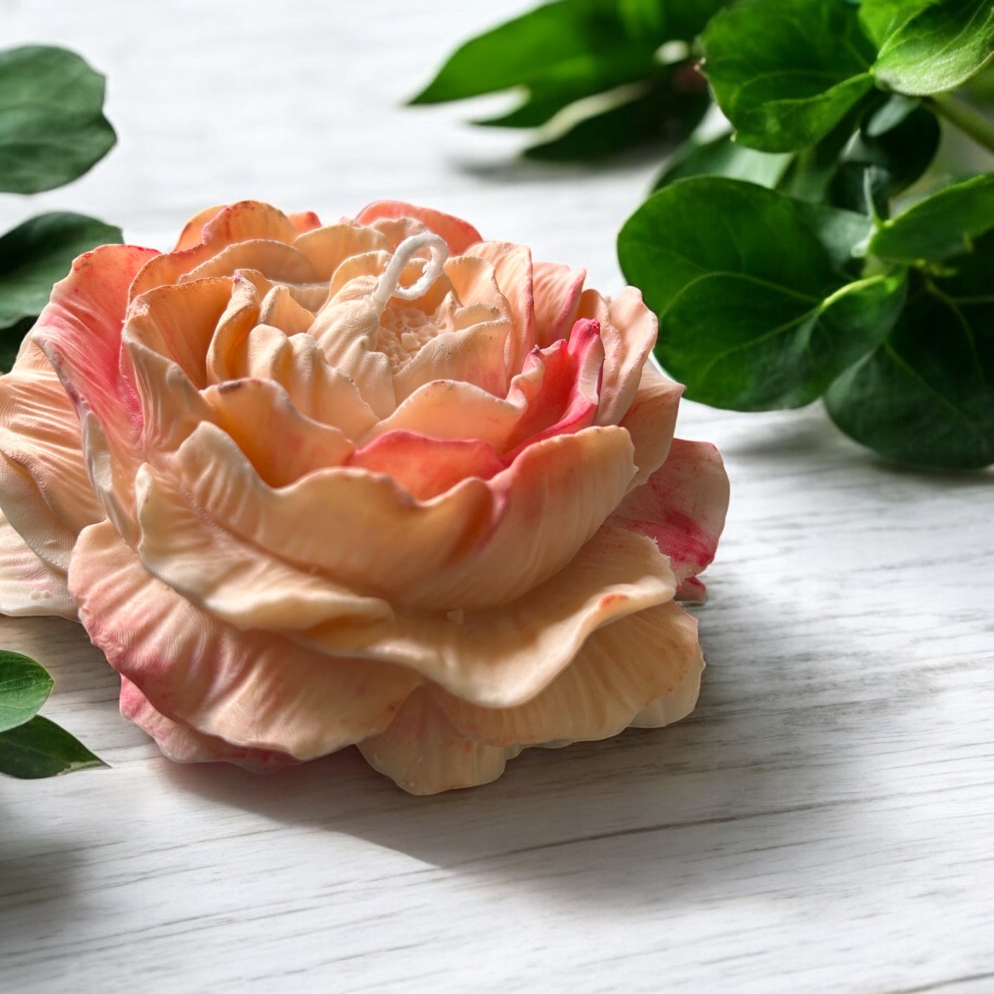 6.5" Peony Candle (Aromaglow)